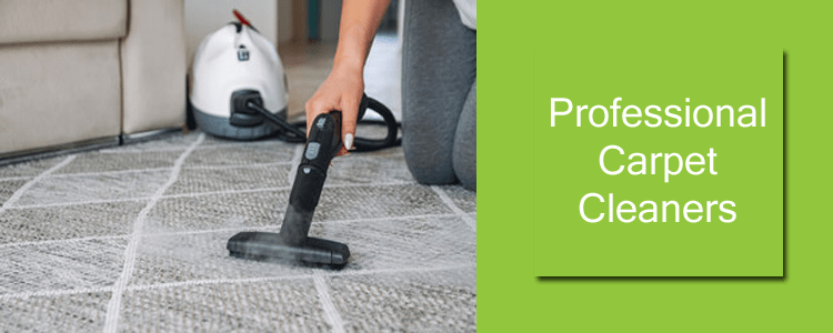 Professional Carpet Cleaners