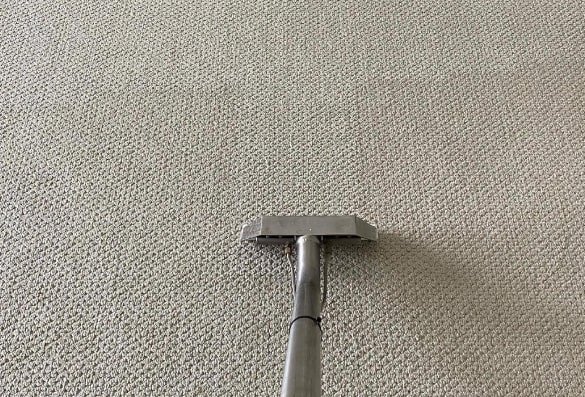 carpet cleaning wallan